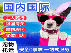 通化航空快递国际宠物托运 【国
